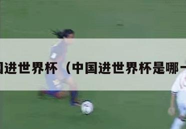 中国进世界杯（中国进世界杯是哪一年）